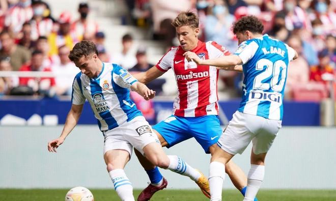 观众的观赛 观众的观赛